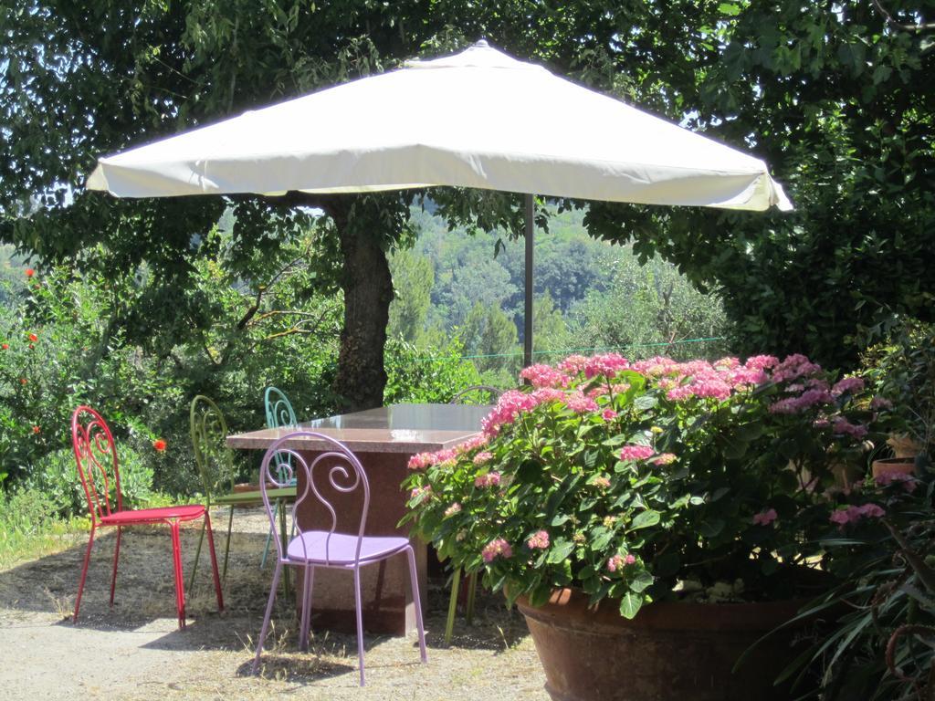 A Casa Di Lizzy B&B Monte Lopio 外观 照片
