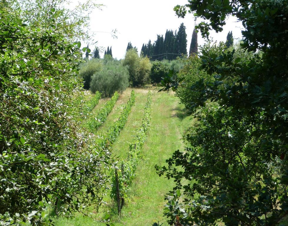A Casa Di Lizzy B&B Monte Lopio 外观 照片