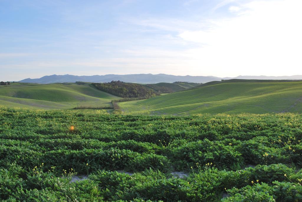 A Casa Di Lizzy B&B Monte Lopio 外观 照片